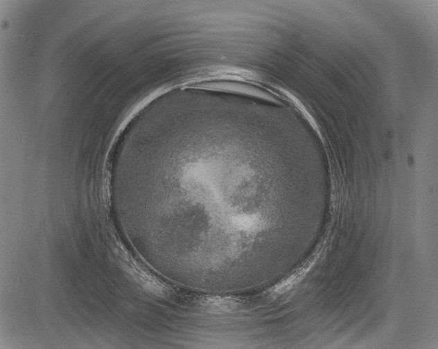 X0000084050835200702161505