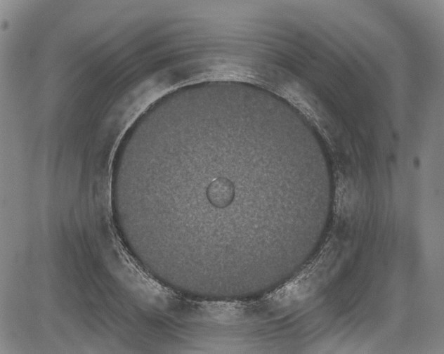 X0000084050836200702161505