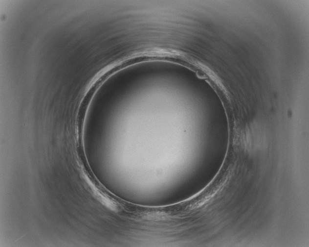 X0000084050837200702161505