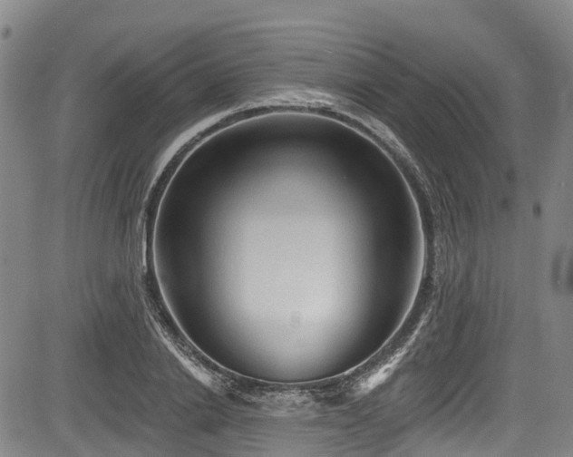 X0000084050838200702161505