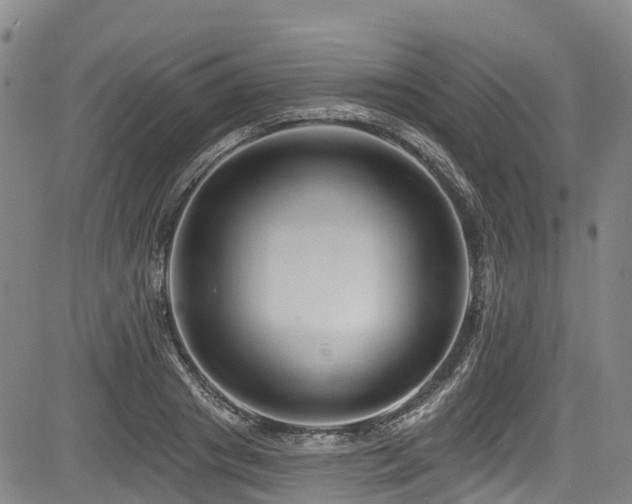 X0000084050841200702161505