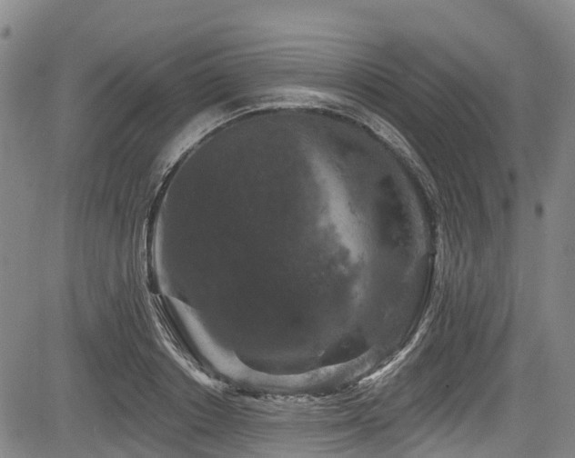 X0000084050842200702161505