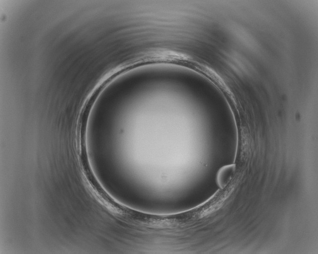 X0000084050843200702161505