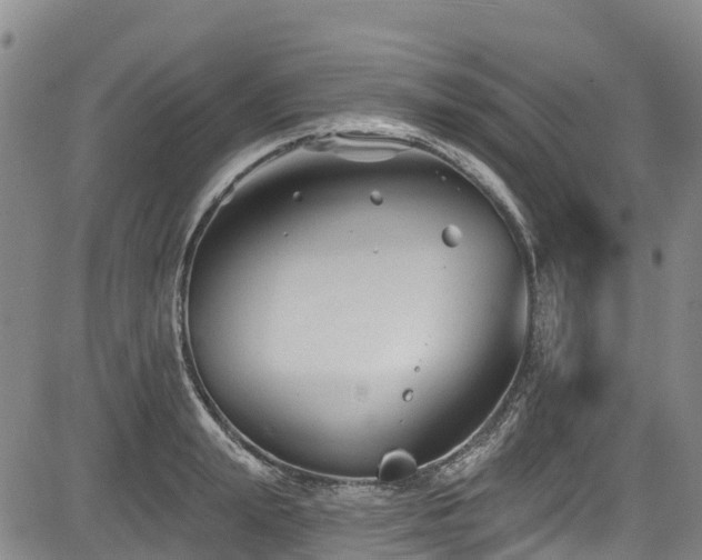 X0000084050847200702161505