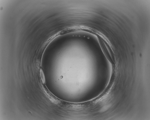 X0000084050849200702161505