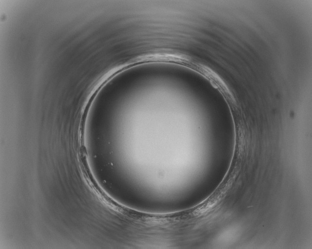 X0000084050852200702161505