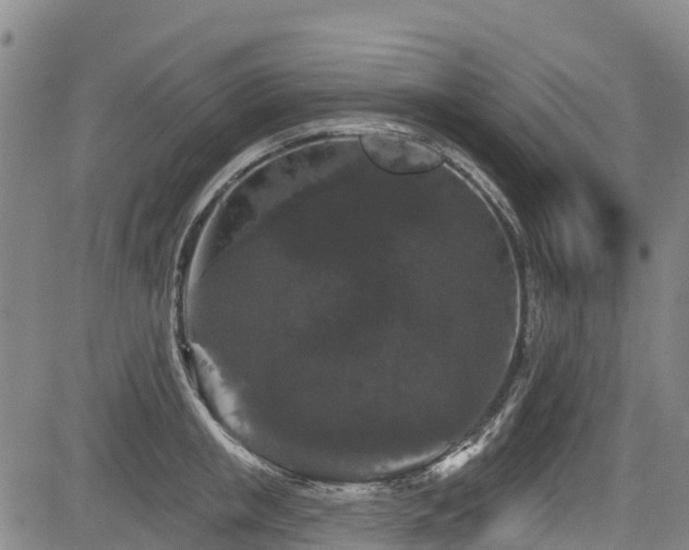 X0000084050853200702161505