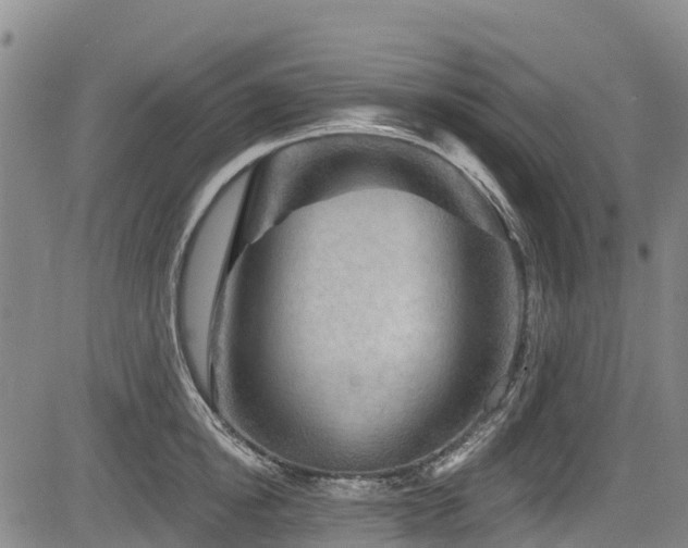 X0000084050854200702161505