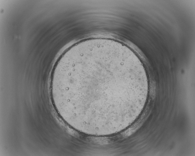 X0000084050856200702161505