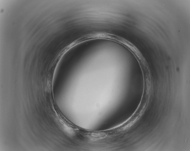 X0000084050857200702161505