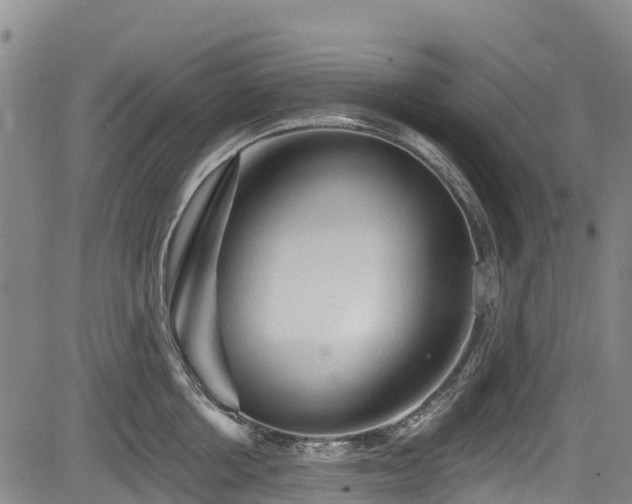 X0000084050858200702161505