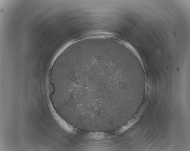 X0000084050859200702161505