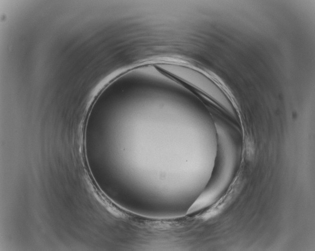 X0000084050862200702161505