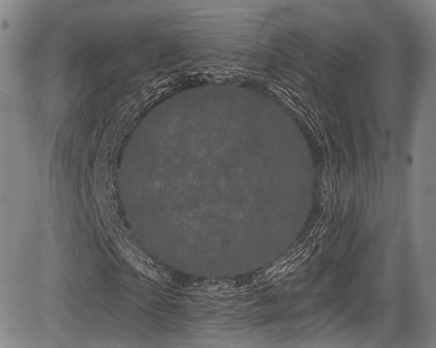 X0000084050865200702161504