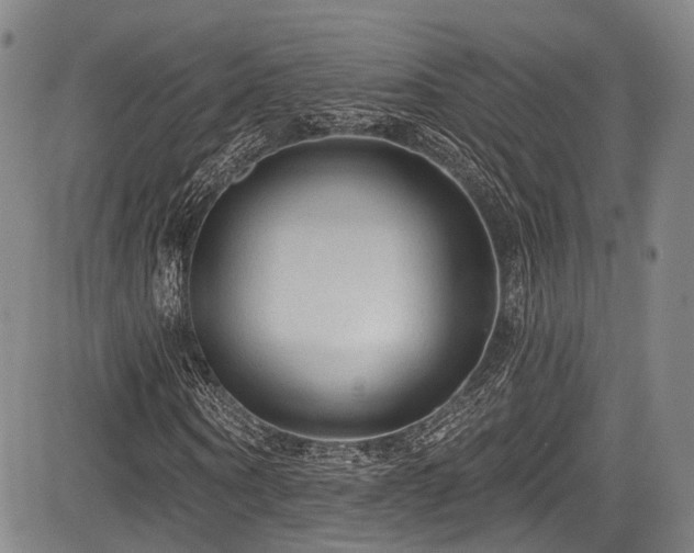 X0000084050866200702161504