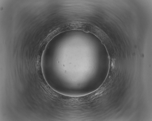 X0000084050867200702161504