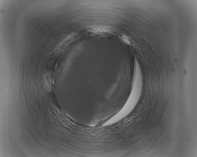 X0000084050868200702161504