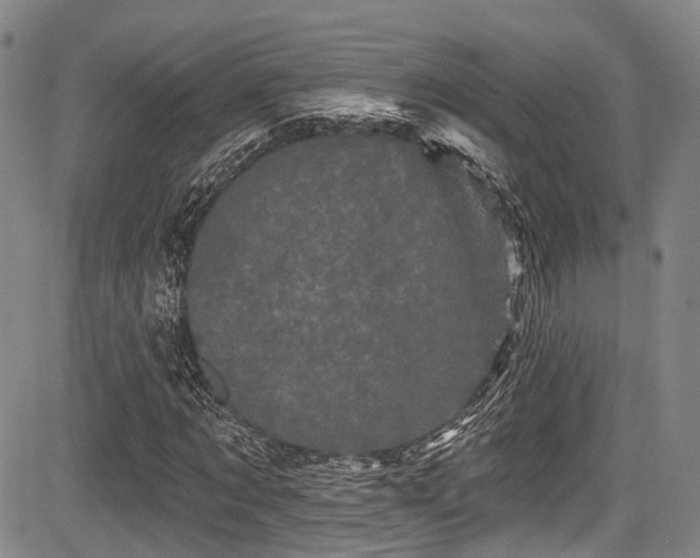 X0000084050869200702161504