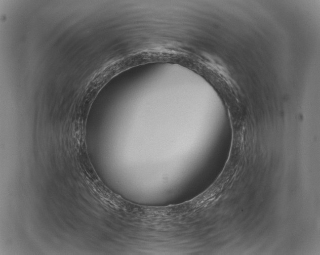 X0000084050870200702161504