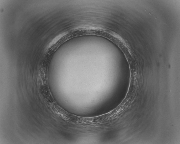 X0000084050871200702161504