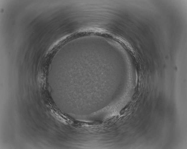 X0000084050872200702161504