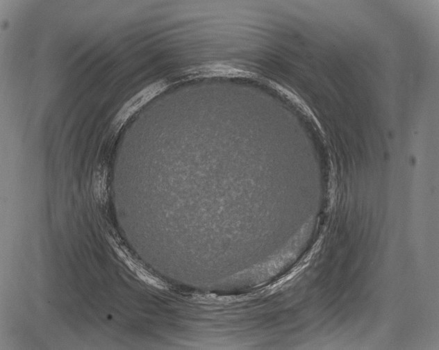 X0000084050873200702161504