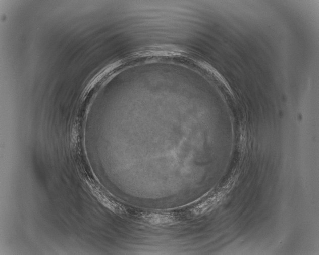 X0000084050874200702161504