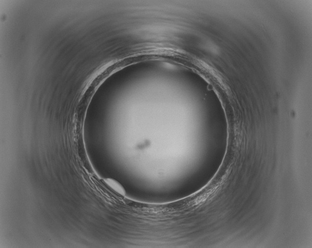 X0000084050875200702161504