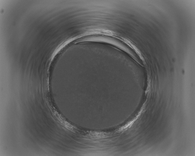 X0000084050877200702161504