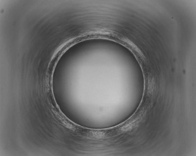 X0000084050878200702161504