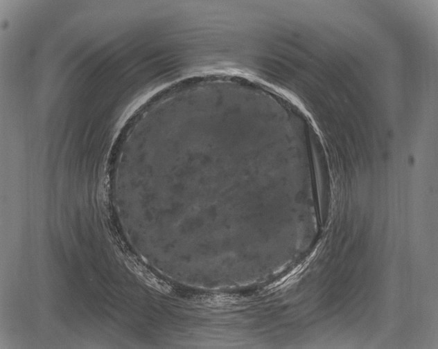 X0000084050879200702161504