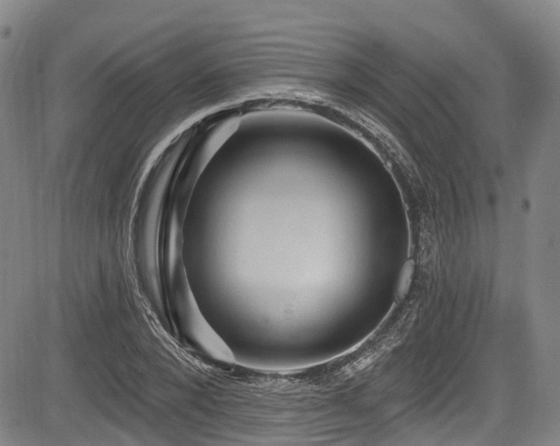 X0000084050880200702161504