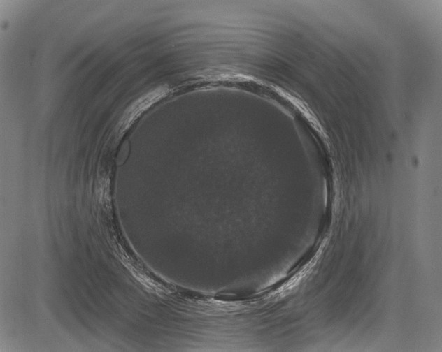 X0000084050881200702161504