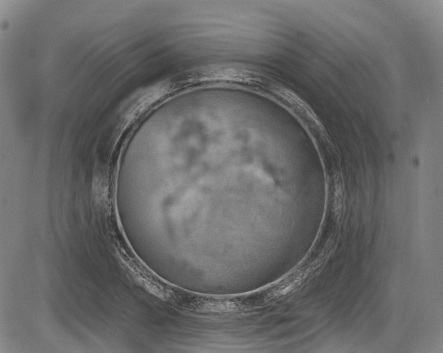 X0000084050882200702161504