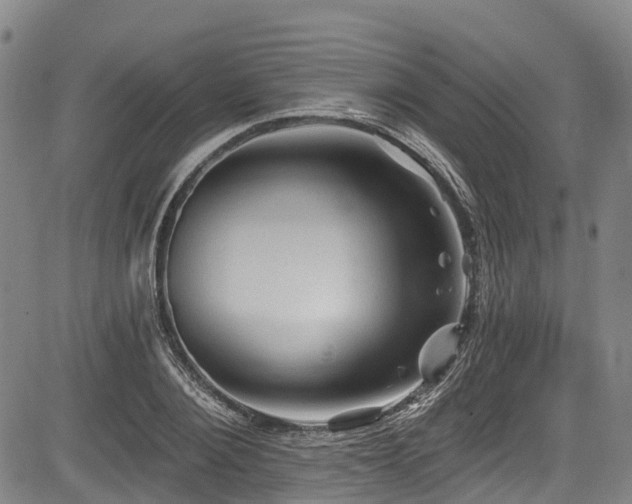 X0000084050884200702161504