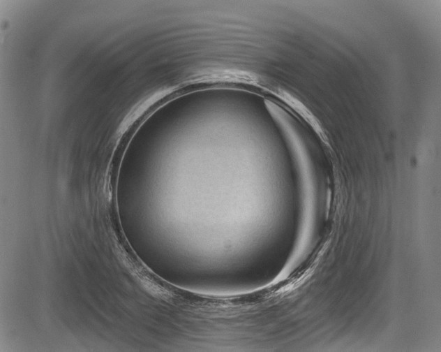 X0000084050885200702161504