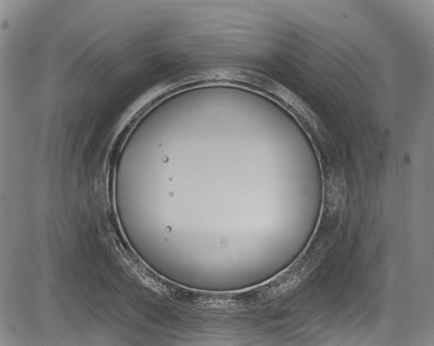 X0000084050886200702161504