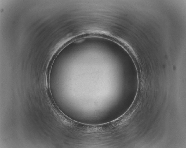 X0000084050887200702161504