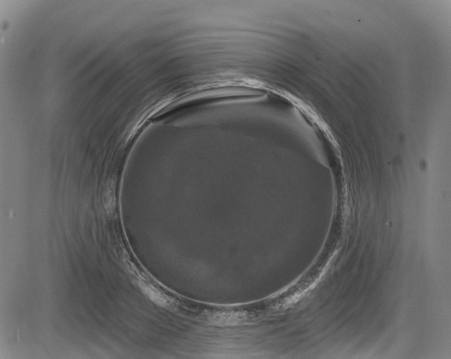 X0000084050889200702161504