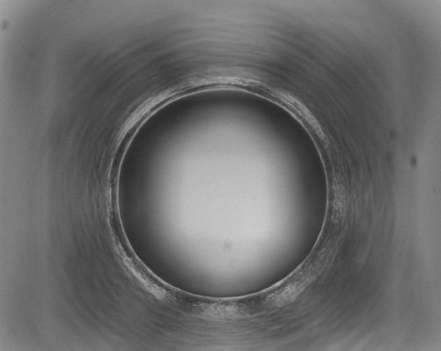 X0000084050890200702161504