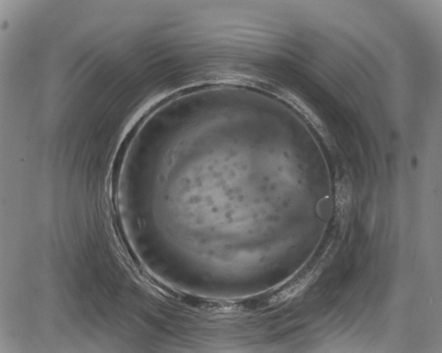 X0000084050891200702161504