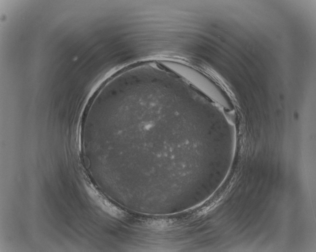 X0000084050892200702161504