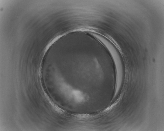 X0000084050893200702161504