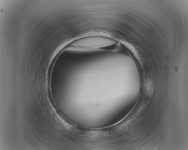 X0000084050894200702161504