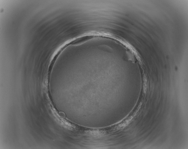 X0000084050896200702161504