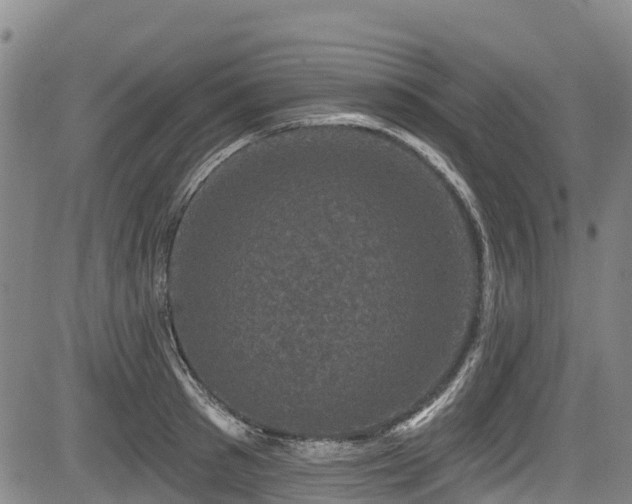 X0000084050897200702161504