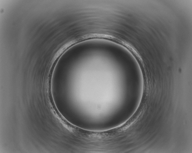 X0000084050898200702161504