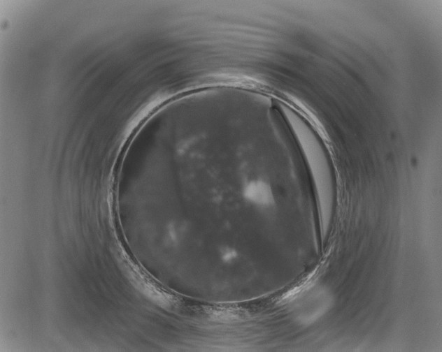 X0000084050899200702161504