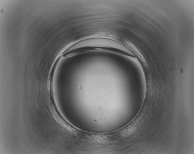 X0000084050900200702161504