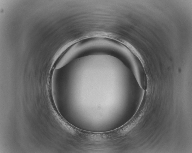 X0000084050901200702161504